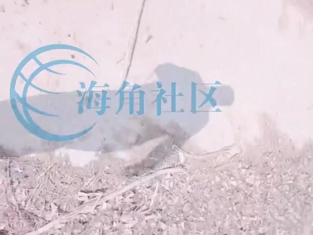 海角乱伦大神妹妹的第一次给了我 户外天花板回归年初七户外田埂上玩妹妹